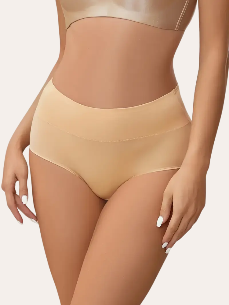 Seamless Snatched Brief  | Aksana
